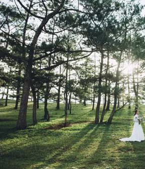 eco-friendly-wedding-ideas.jpeg