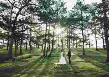 eco-friendly-wedding-ideas.jpeg