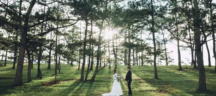 eco-friendly-wedding-ideas.jpeg