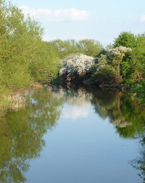 river-cherwell-oxfordshire.jpg