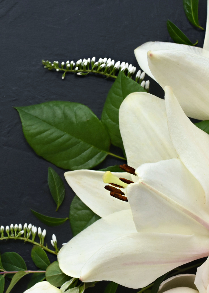 TVC Milton Hill House Website Header Picture (1)