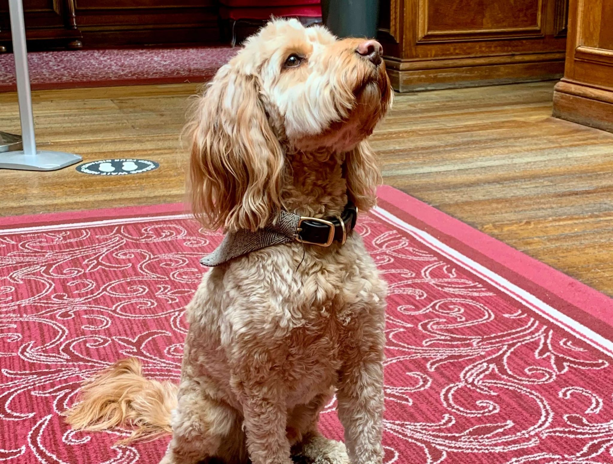 Local Dog Friendly Hotel Oxford, Abingdon Milton Hill House