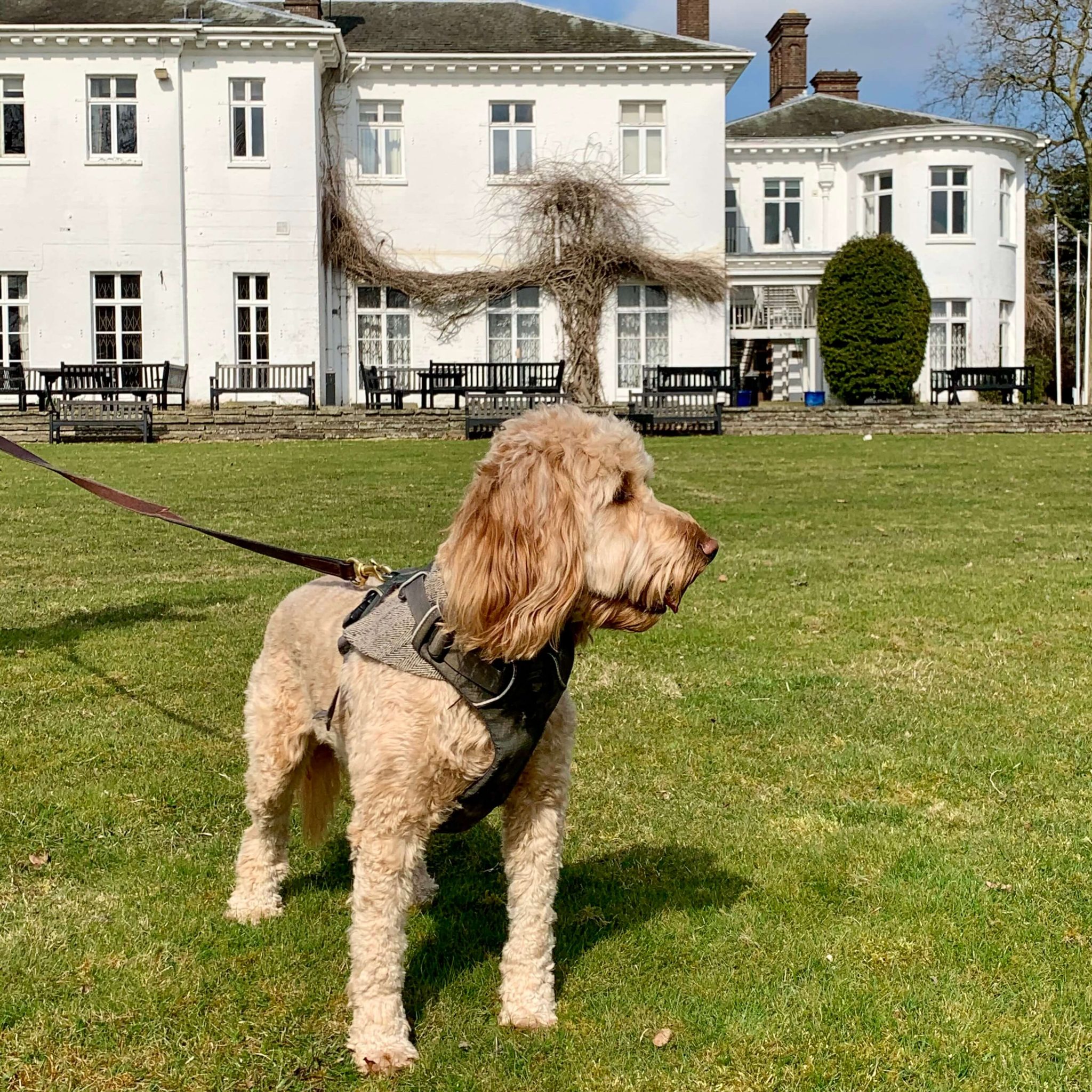 Local Dog Friendly Hotel in Abingdon, Oxford Countryside Grounds