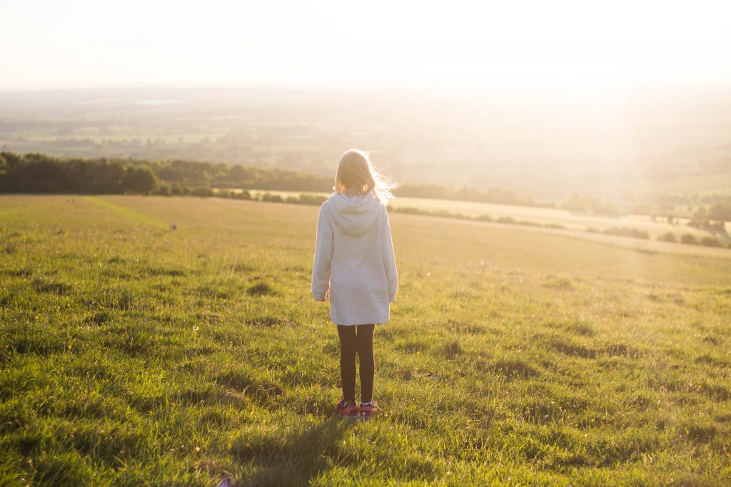 white horse hill feature image