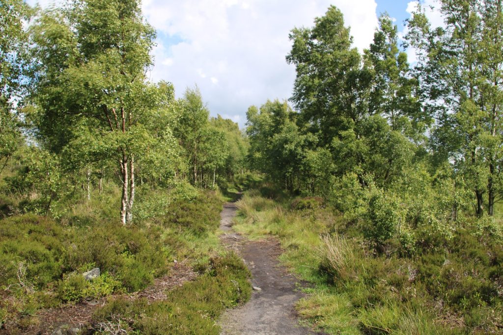 shotover country park