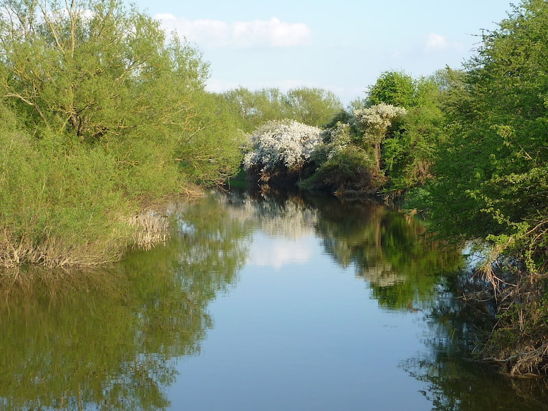 River Cherwell in Oxfordshire